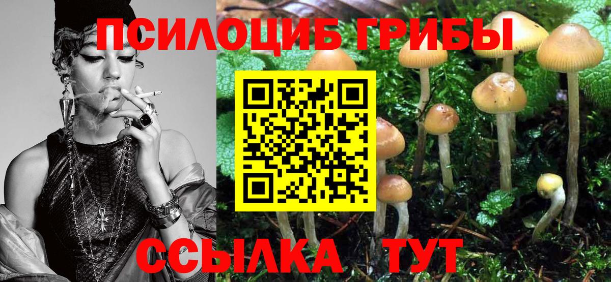 Галлюциногенные грибы GOLDEN TEACHER  Псилоцибиновые грибы мухоморы  Гудермес  Вход с VPN 